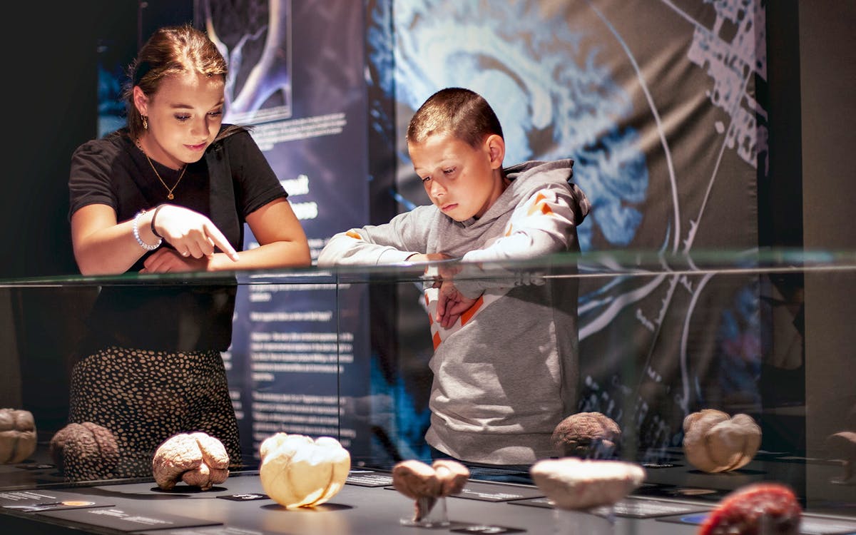 saver combo - skip the line tickets to body worlds amsterdam & canal cruise-6 saver combo - skip the line tickets to body worlds amsterdam & canal cruise-6