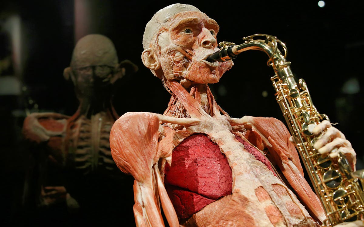 saver combo - skip the line tickets to body worlds amsterdam & canal cruise-4 saver combo - skip the line tickets to body worlds amsterdam & canal cruise-4
