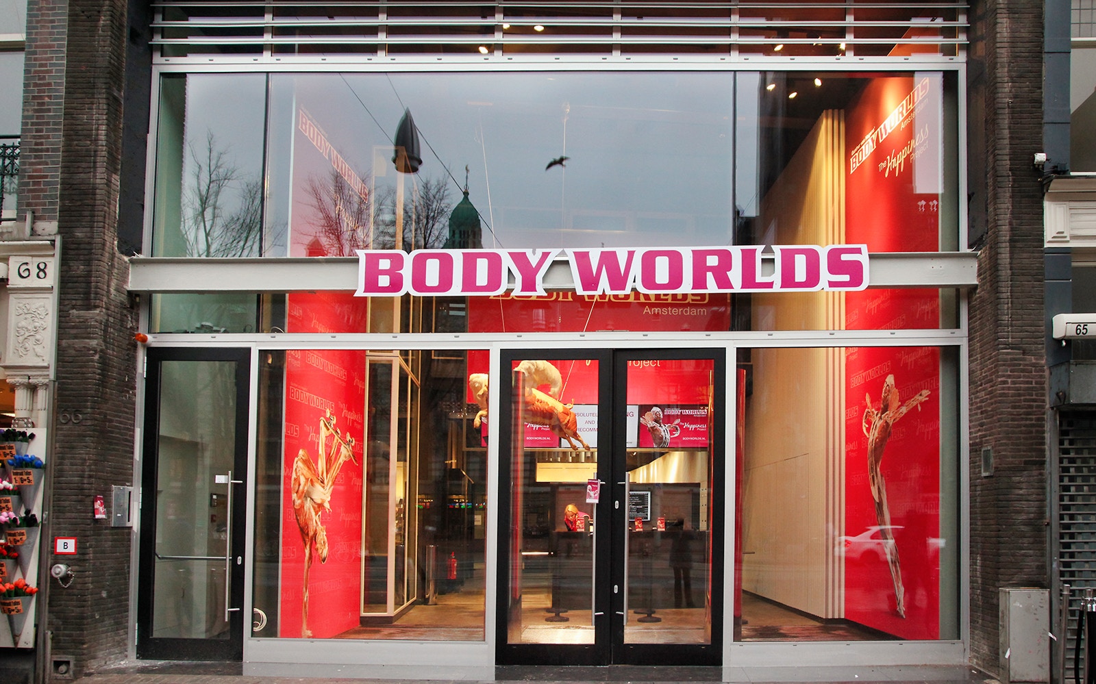 Body Worlds Amsterdam exhibit with anatomical displays, featuring The Happiness Project, Netherlands.