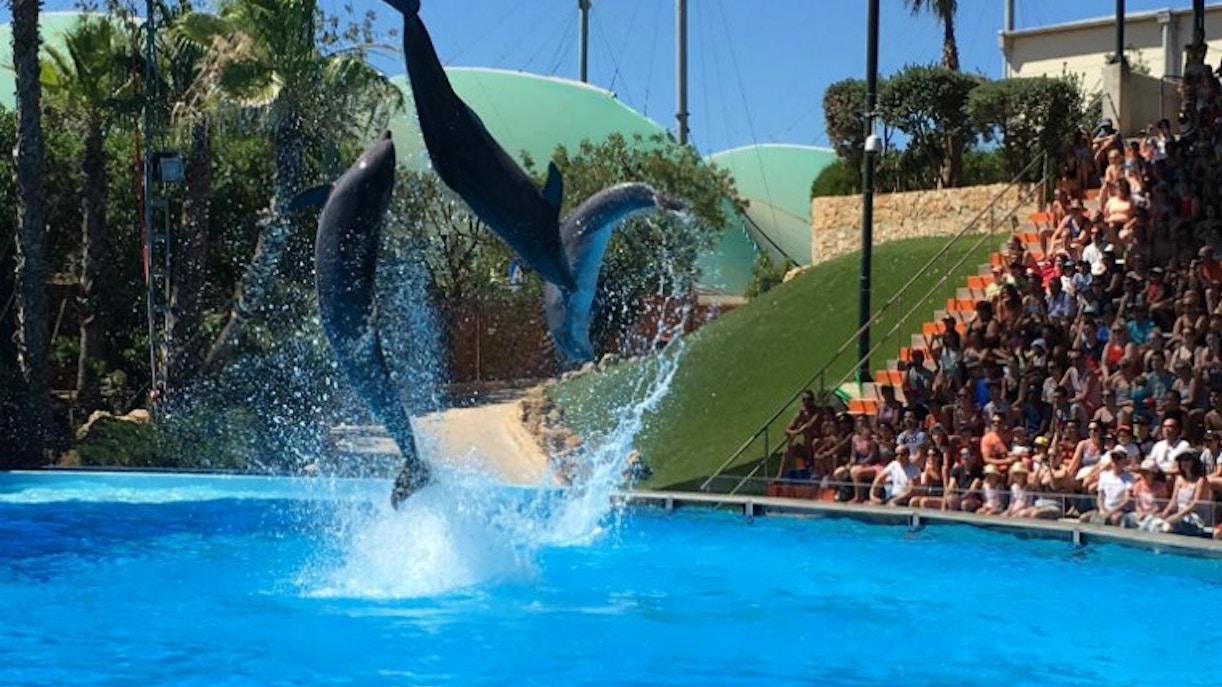 Visitors enjoying water slides at Zoomarine Rome, Italy.