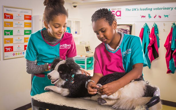 Children role-playing as veterinarians at Kidzania, examining a toy dog.