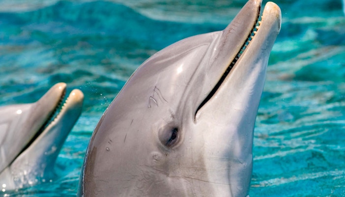 Zoo Barcelona Tickets online