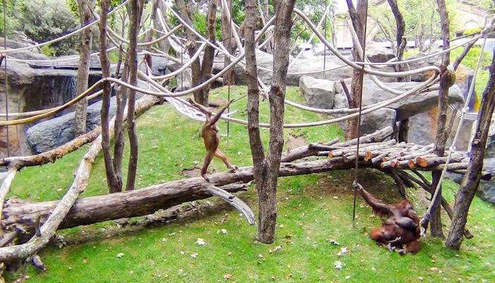 Family observing exotic animals at Barcelona Zoo on a sunny day.