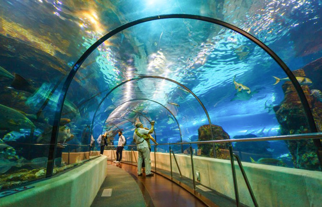 Barcelona Aquarium