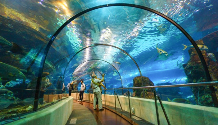 barcelona aquarium