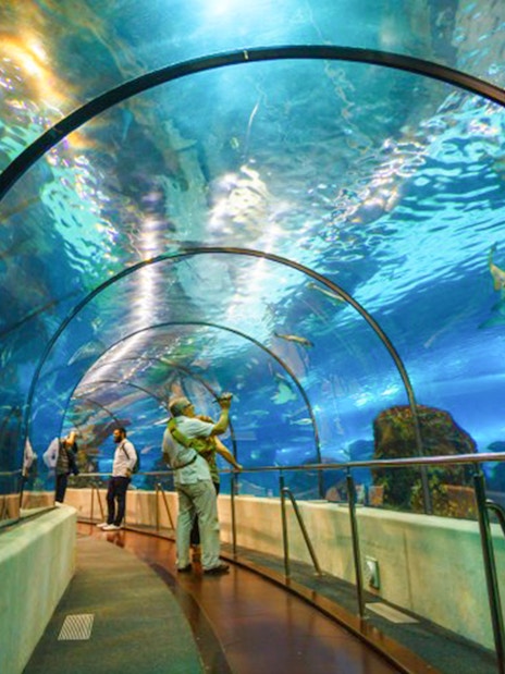 Visitors walking through underwater tunnel at Aquarium Barcelona.