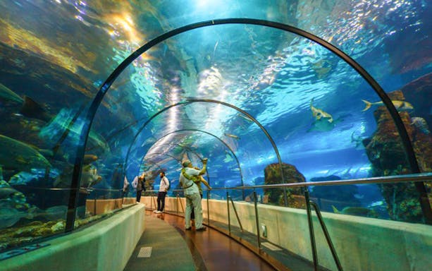 Visitors walking through underwater tunnel at Aquarium Barcelona.