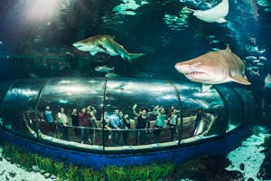 1 day in Barcelona-Barcelona Aquarium