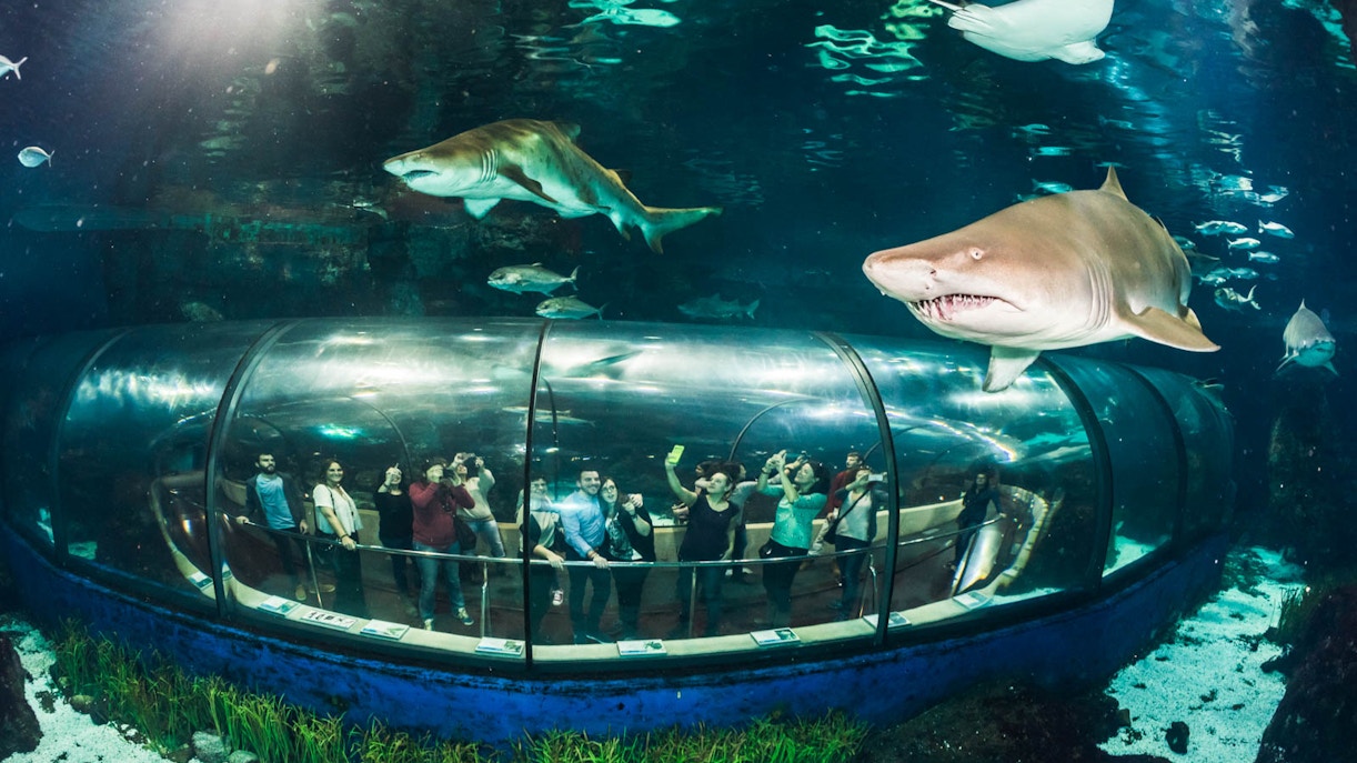 Barcelona Aquarium entrance with visitors exploring marine exhibits.