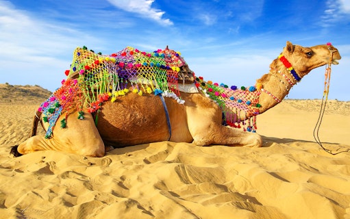 Camel adorned with colorful decorations in desert setting, part of VIP Majlis Seating Desert Safari.