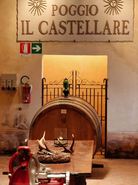 Winery barrels at Poggio Il Castellare, Tuscany, part of the Best of Tuscany in One Day tour from Rome.