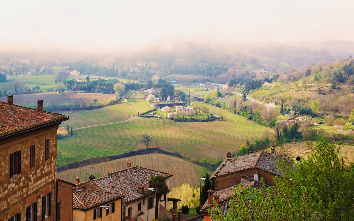 Tuscany countryside view with vineyards and rustic buildings, part of Best of Tuscany in One Day tour from Rome.