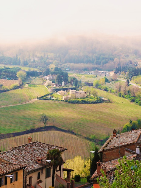 Tuscany countryside view with vineyards and rustic buildings, part of Best of Tuscany in One Day tour from Rome.