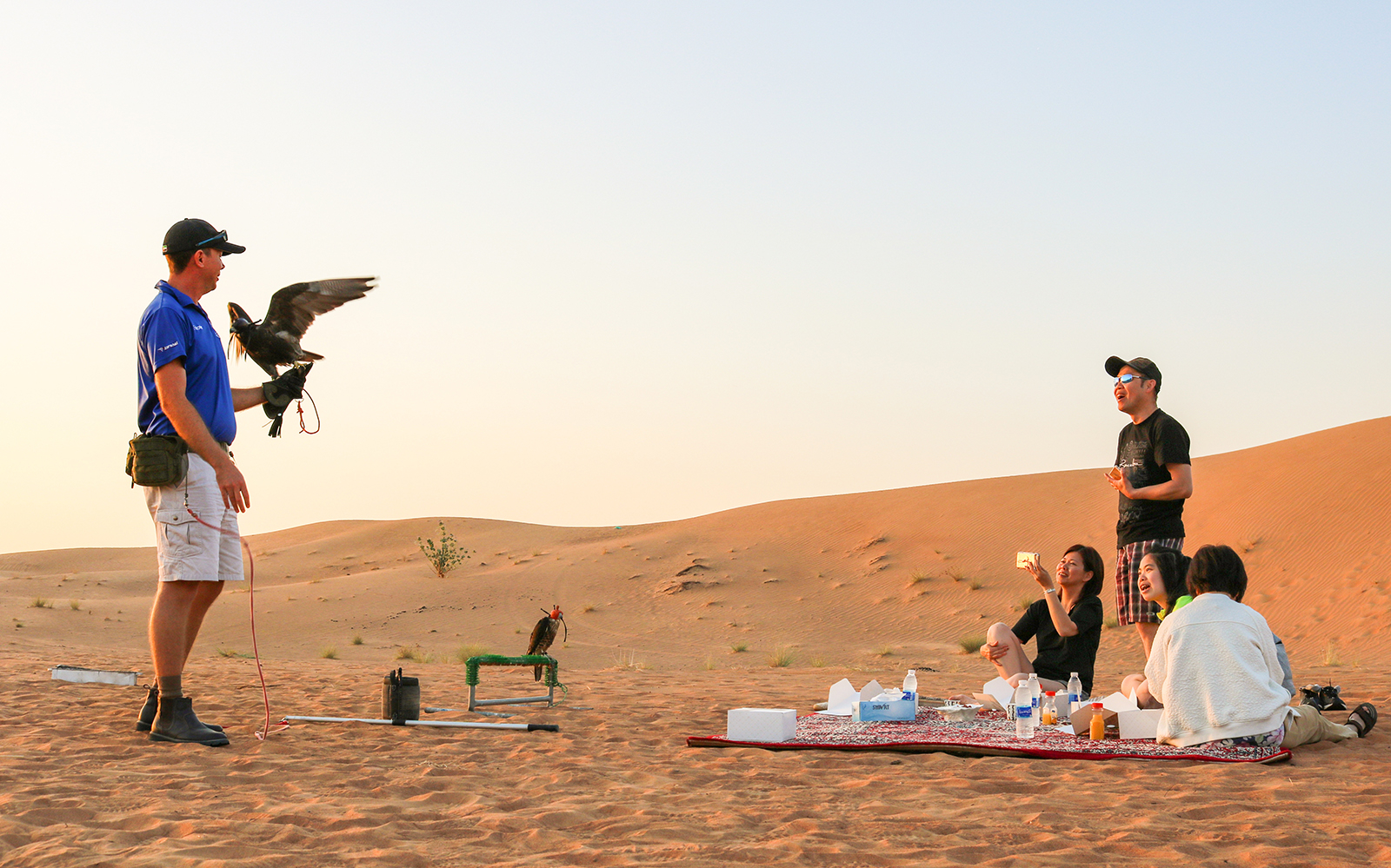 Desert safari at sunrise with falconer and group enjoying picnic breakfast.