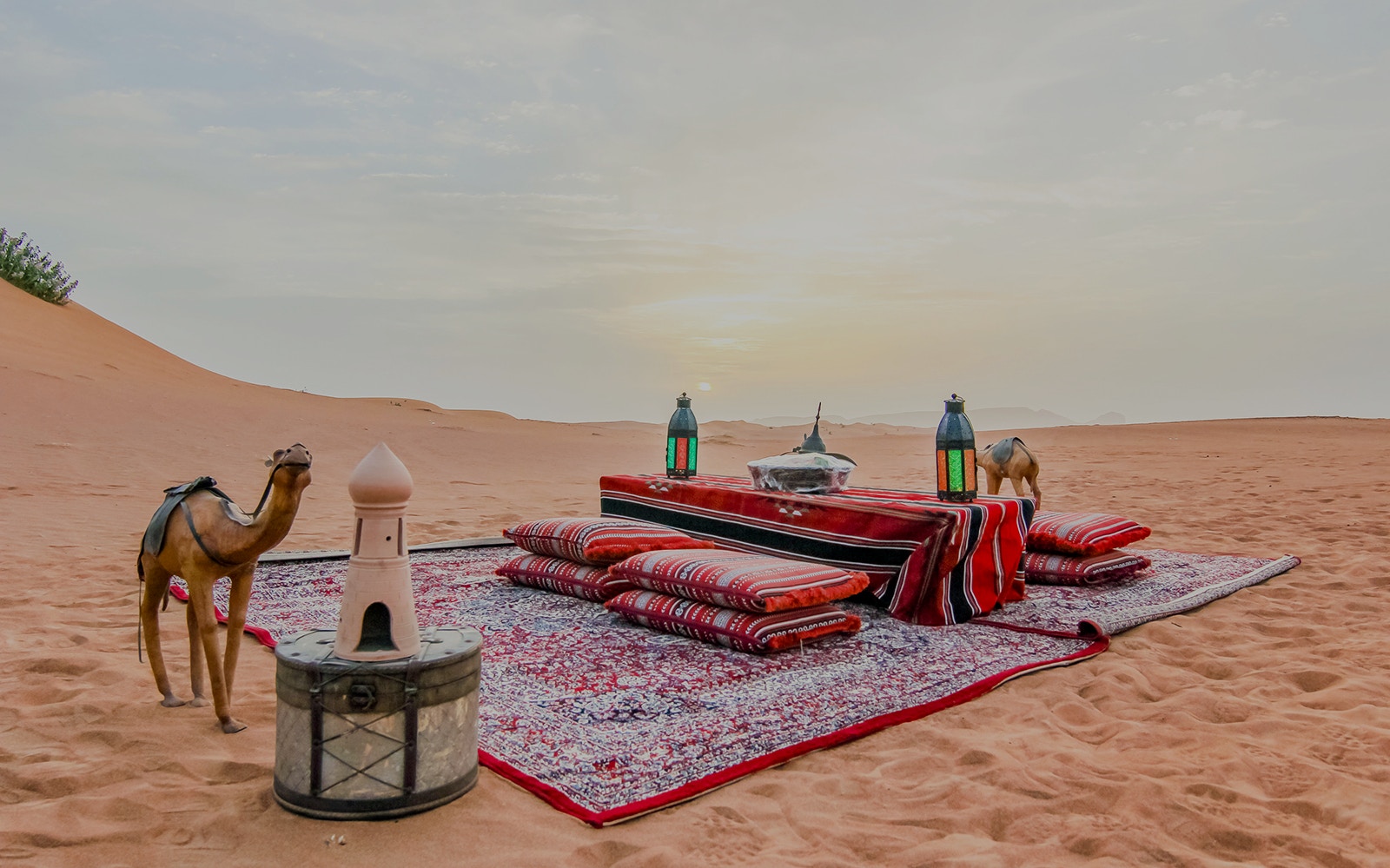 Desert picnic setup with cushions and lanterns at sunrise during a safari.