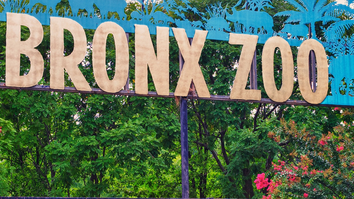 bronx zoo