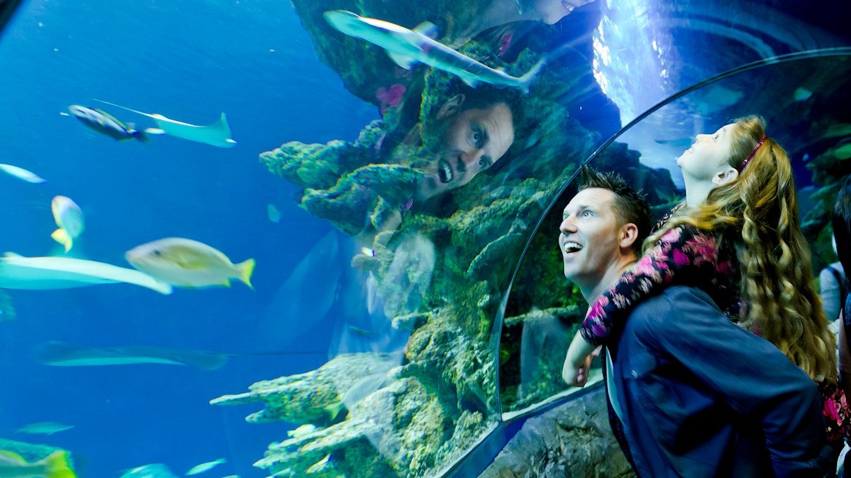 sea life london aquarium tickets