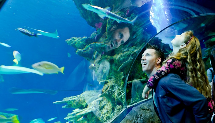 Don't Miss Top Exhibits - SEA Life London