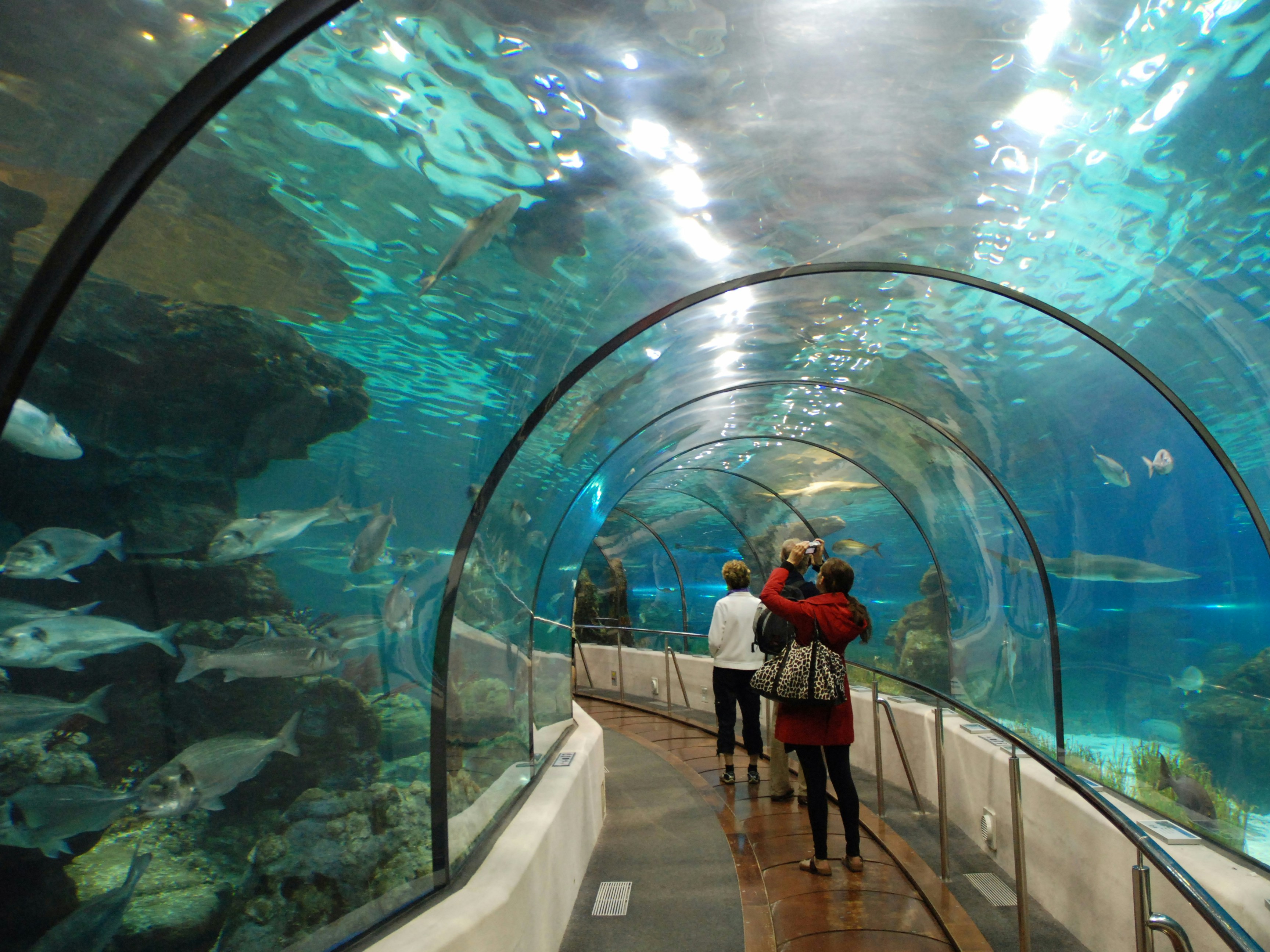 Open Ocean Tunnel