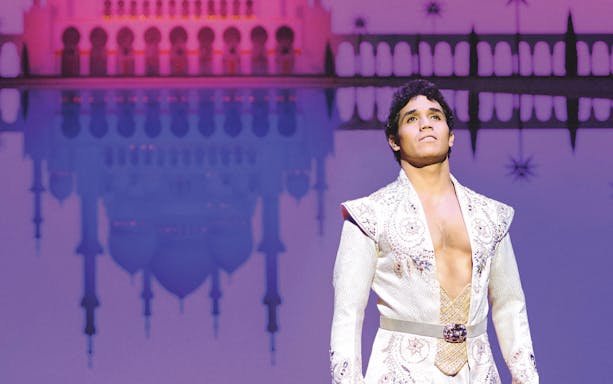 Performer in ornate costume on stage with palace backdrop, Aladdin show.