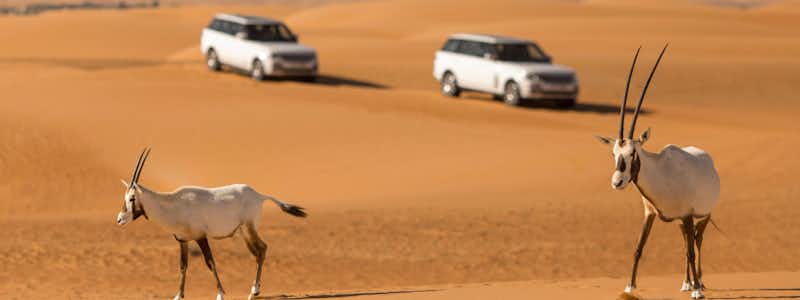 dubai desert safari deals
