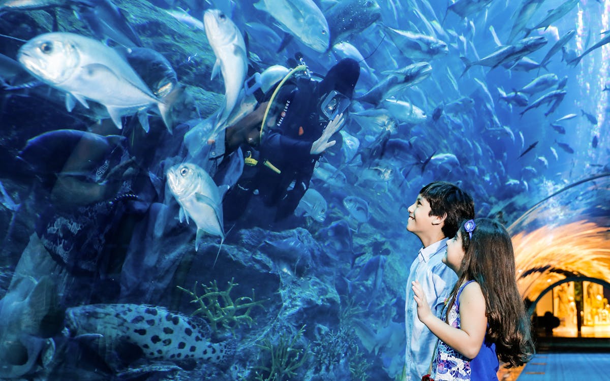 dubai city tour, aquarium & burj khalifa tickets combo-2 dubai city tour, aquarium & burj khalifa tickets combo-2