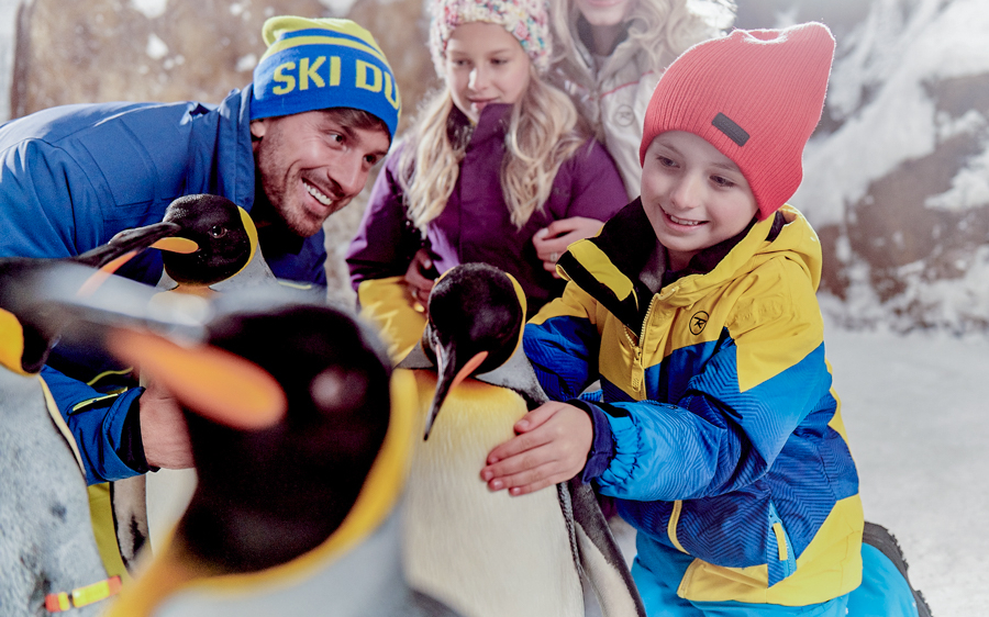 Children interacting with penguins at Ski Dubai Snow Park.