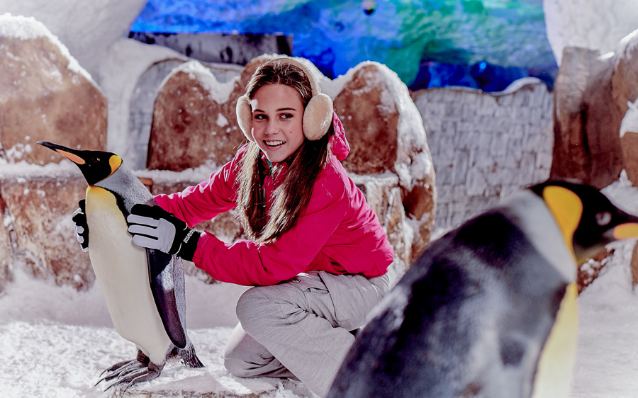 Girl interacting with penguins at Ski Dubai Snow Park.