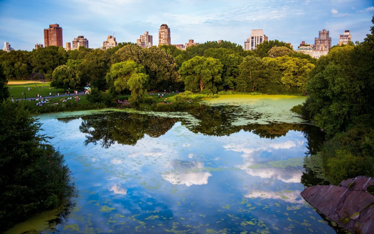central park tv & movie sites tour-2 central park tv & movie sites tour-2