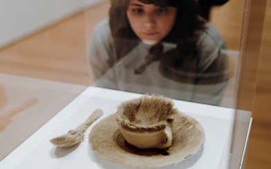 Fur-covered teacup and saucer exhibit at the Museum of Modern Art, New York.