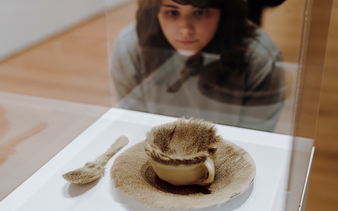 Fur-covered teacup and saucer exhibit at the Museum of Modern Art, New York.