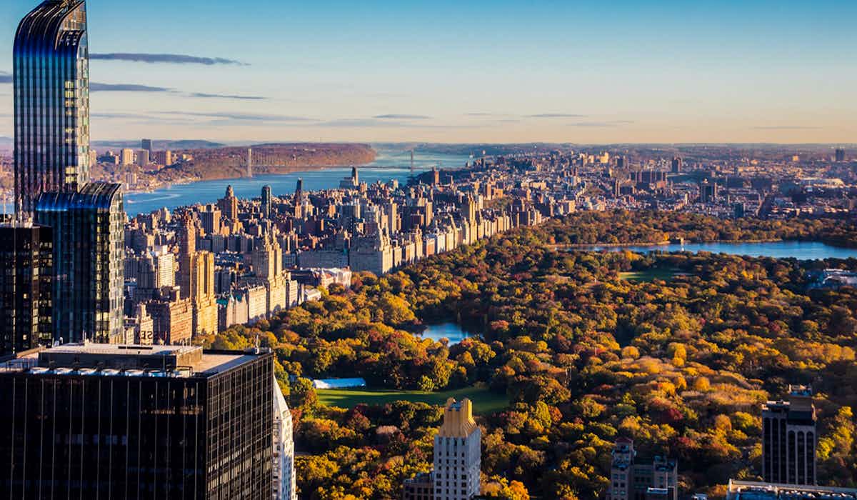 New York In November Things To Do, Attractions, Events & Essentials