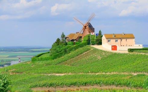 Guided Tour of the Reims Champagne Region from Paris