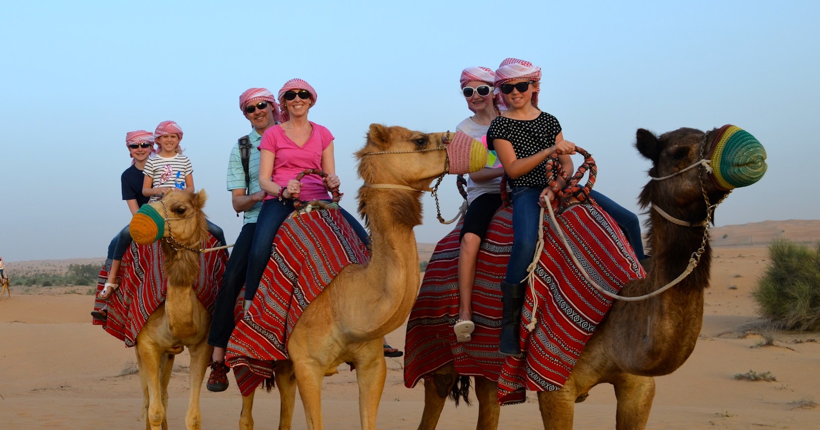 camel trip dubai