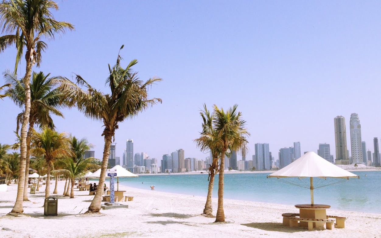 Dubai beach with palm trees and city skyline, related to The Unity Run Dubai 2016.
