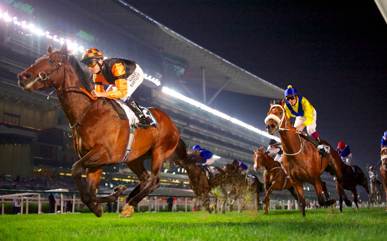 Horse racing event at Meydan Racecourse, Dubai, with spectators in the grandstand.