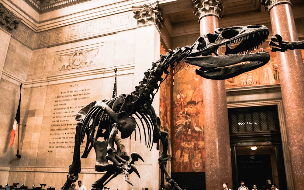 The natural history museum will be closing at 3:30 pm on thursday, december 14 in preparation for a staff event. American Museum of Natural History Tickets Tickets.co.uk