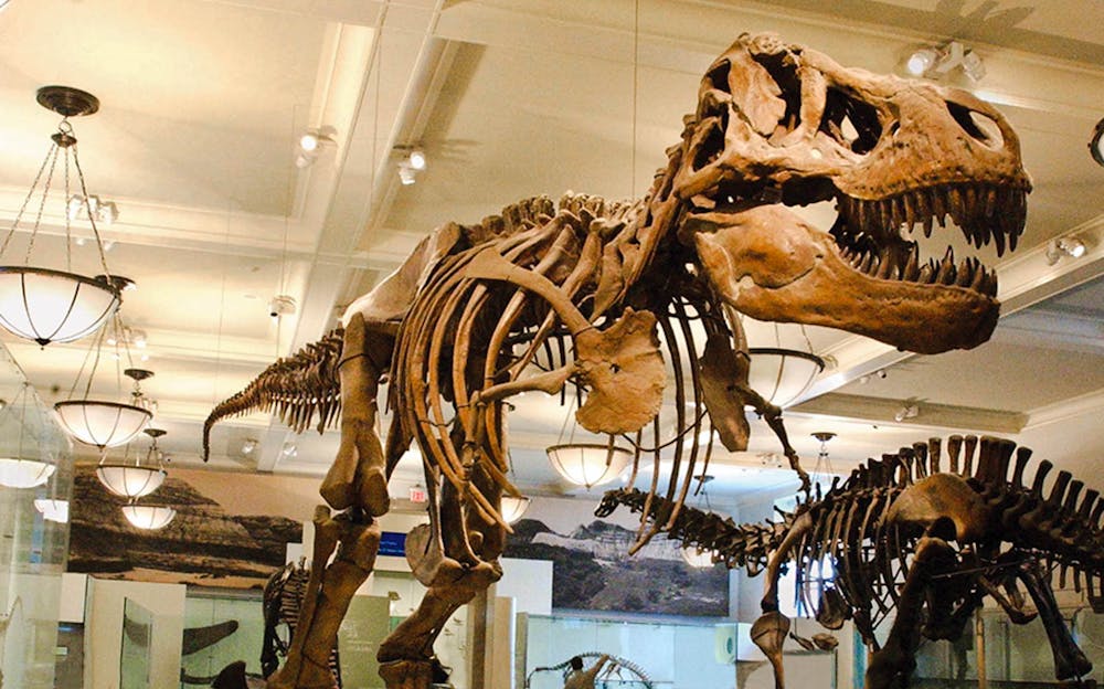 American Museum of Natural History Tickets Tickets.co.uk American Museum of Natural History Tickets Tickets.co.uk