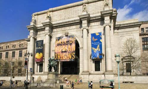 Best museums in new york