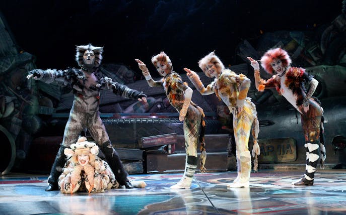 Performers in costume on stage during CATS The Musical.