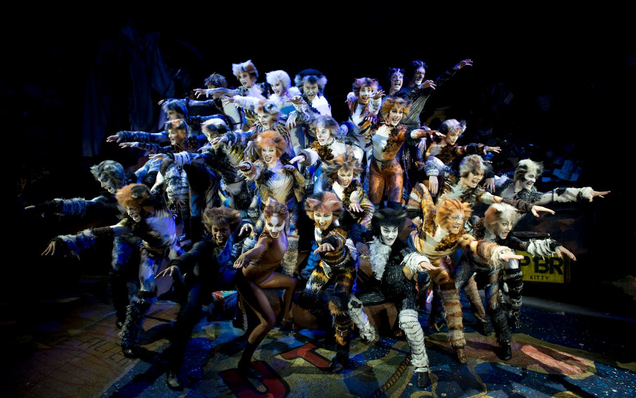 Performers in costume during a scene from CATS - The Musical.