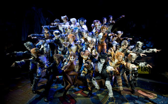 Performers in costume during a scene from CATS - The Musical.