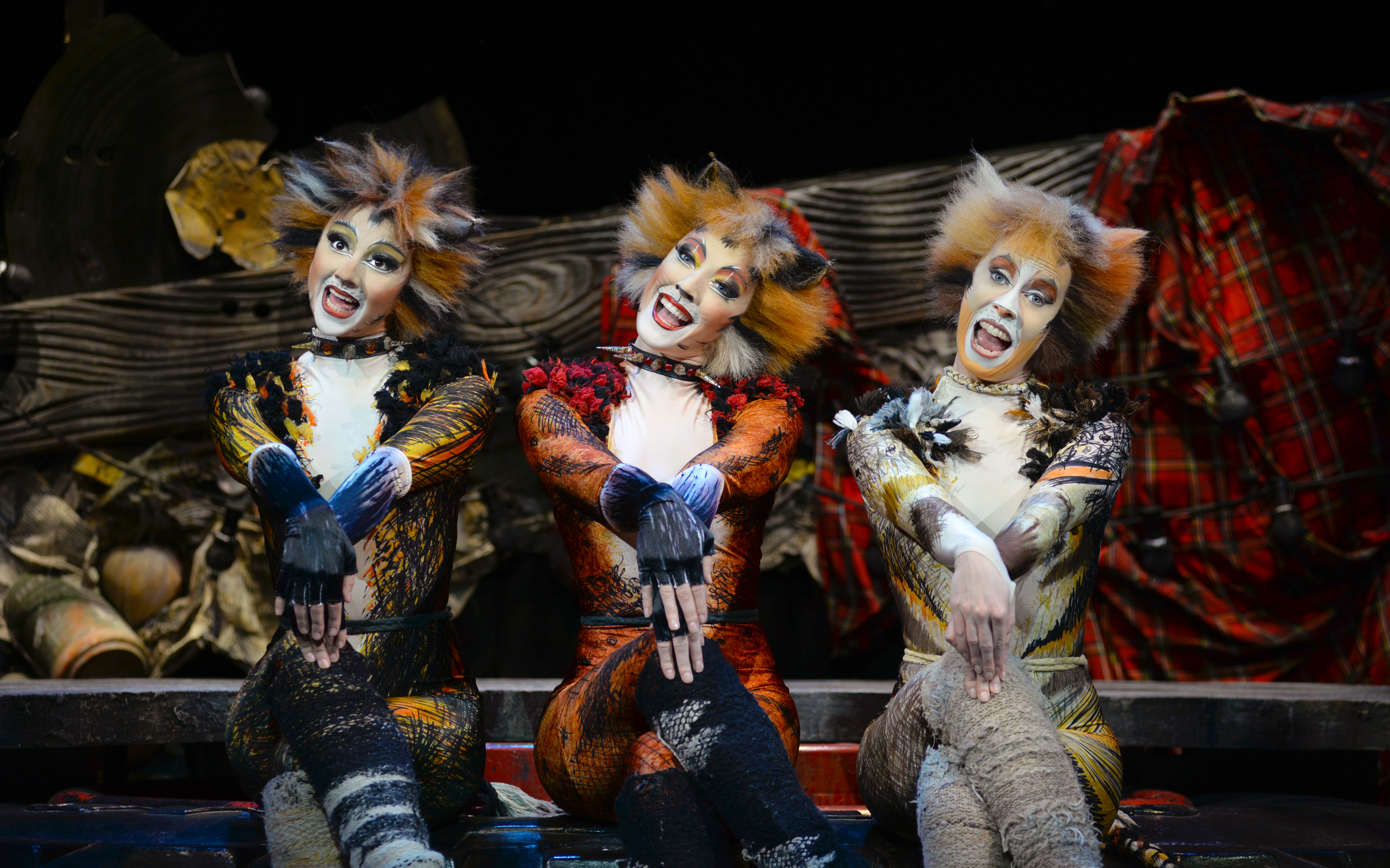 Performers in costume on stage during CATS - The Musical.