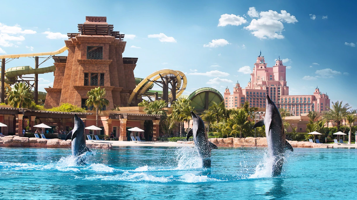 Dolphins jumping in front of Aquaventure Waterpark, Dubai.