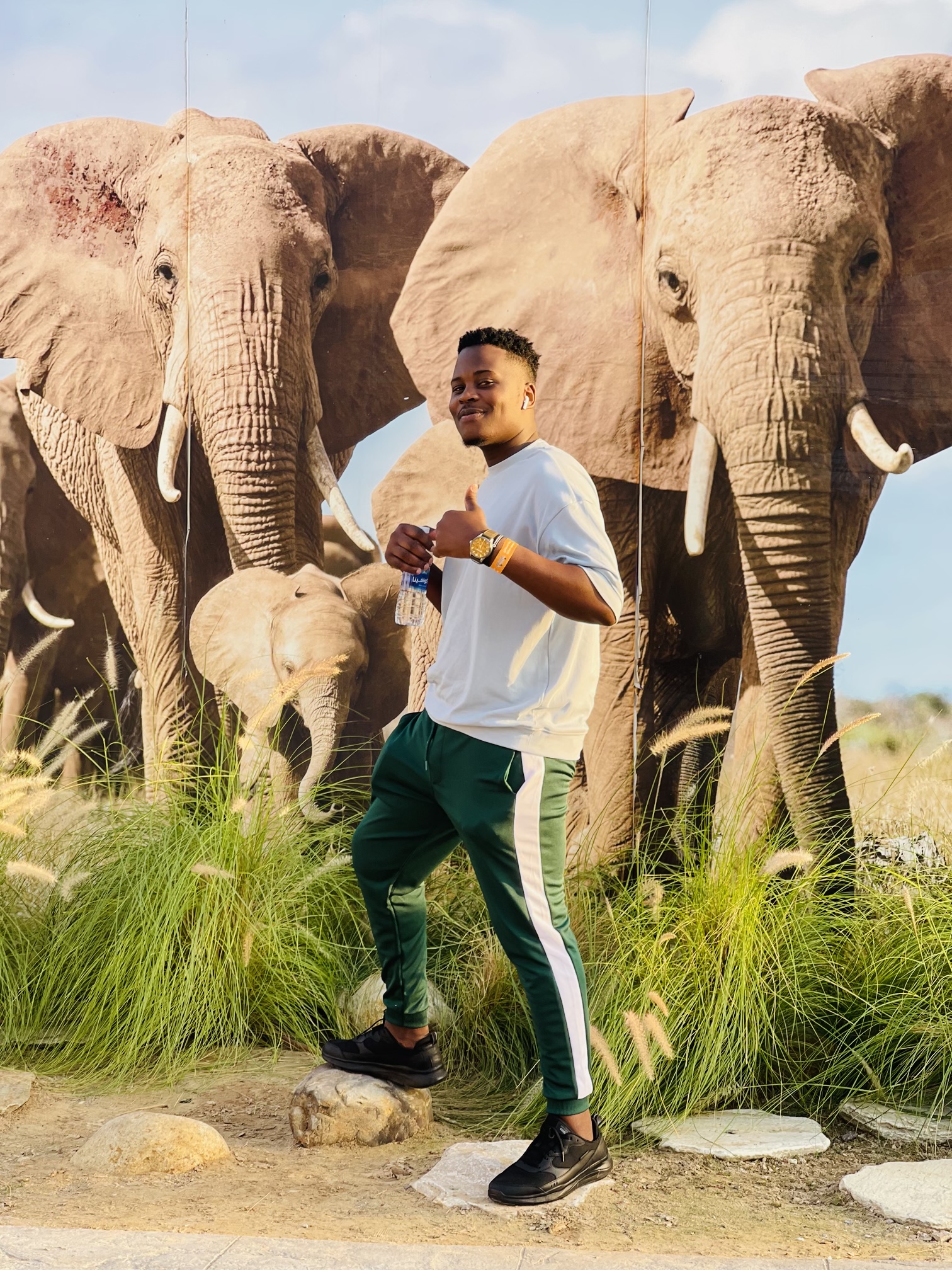 Dubai Safari Park Tickets