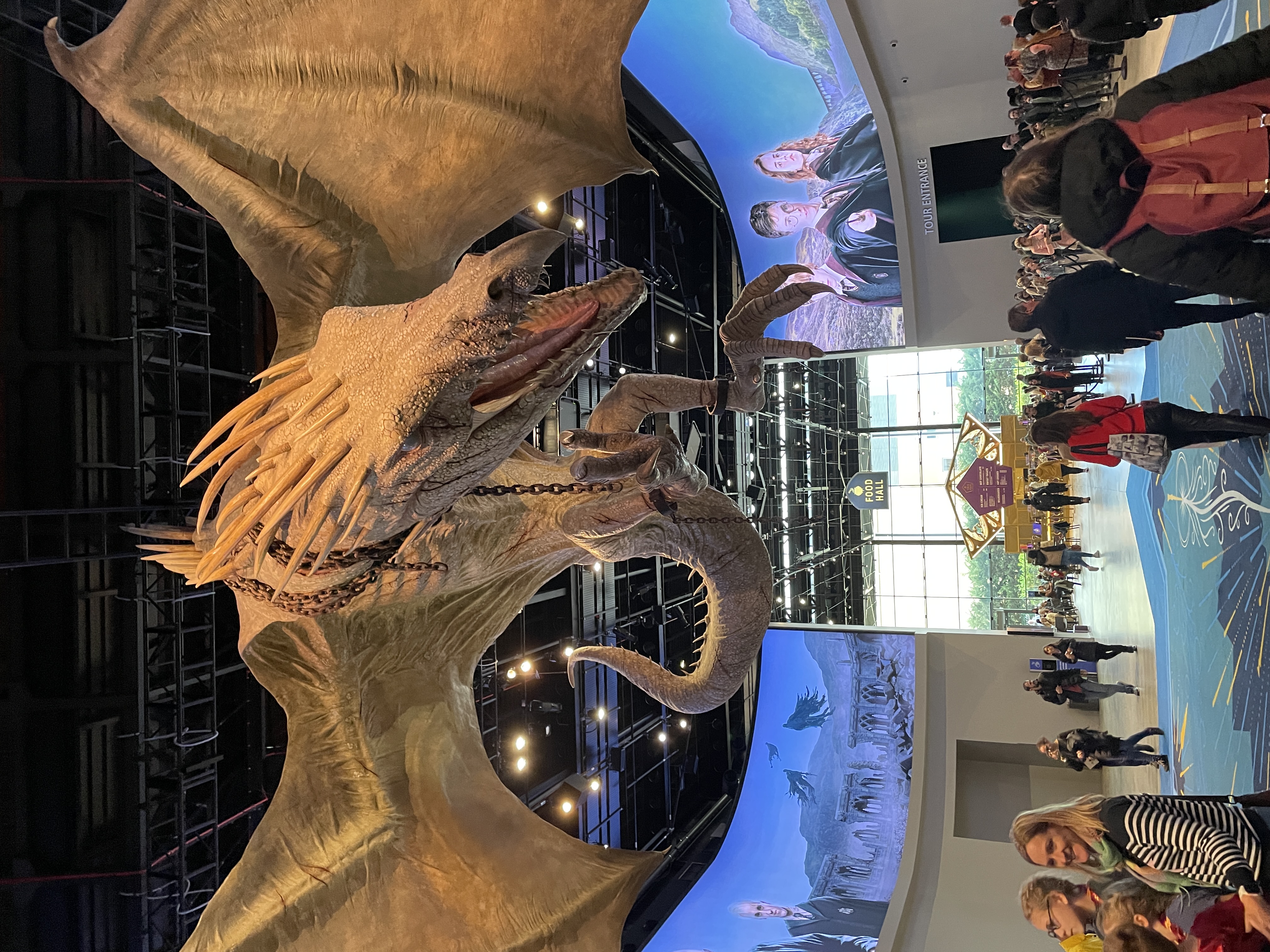 Warner Bros. Studio Harry Potter Tour with Premium Transfers from London