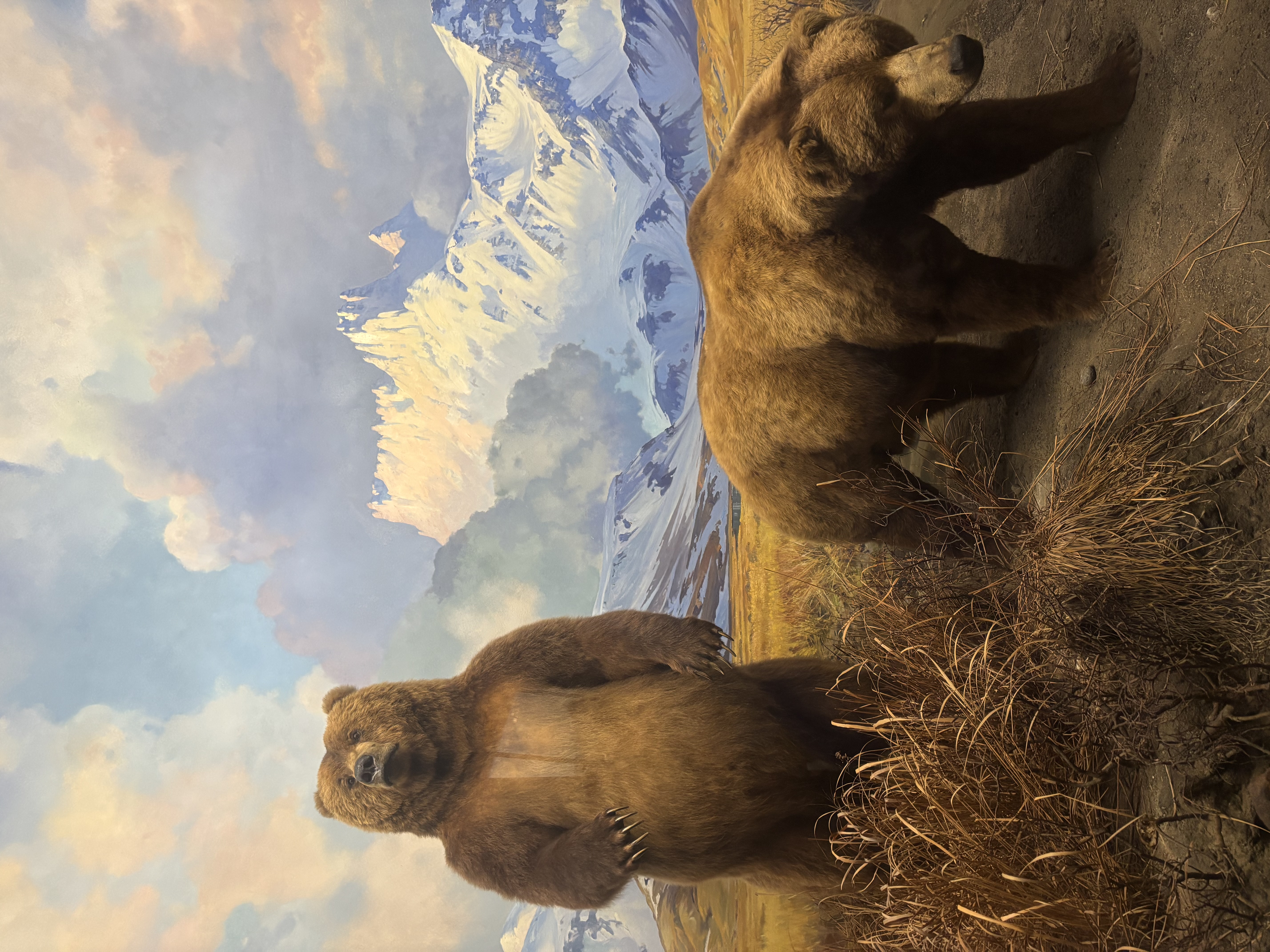 IS AMERICAN MUSEUM OF NATURAL HISTORY FREE visual data 3