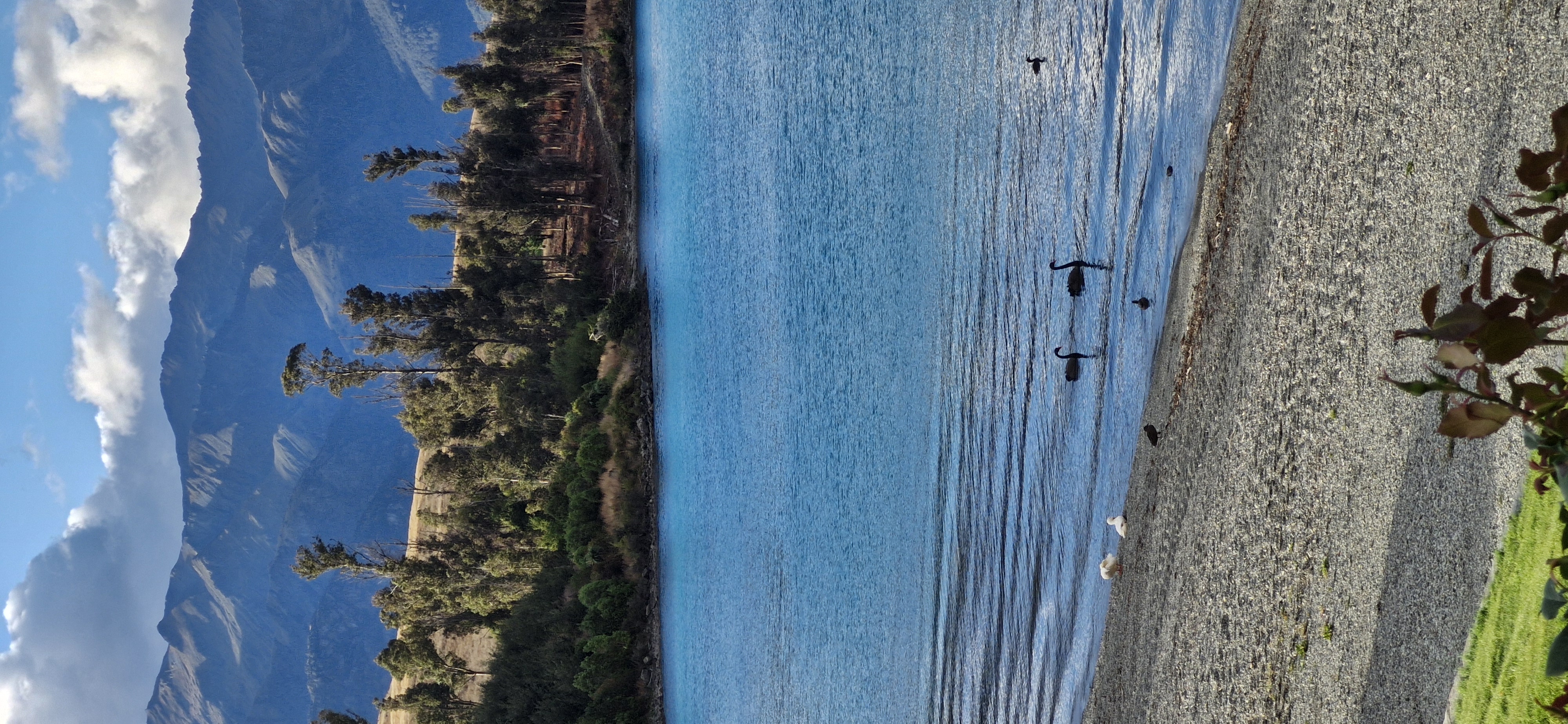 Book TSS Earnslaw Cruises - Curated Guided Tours