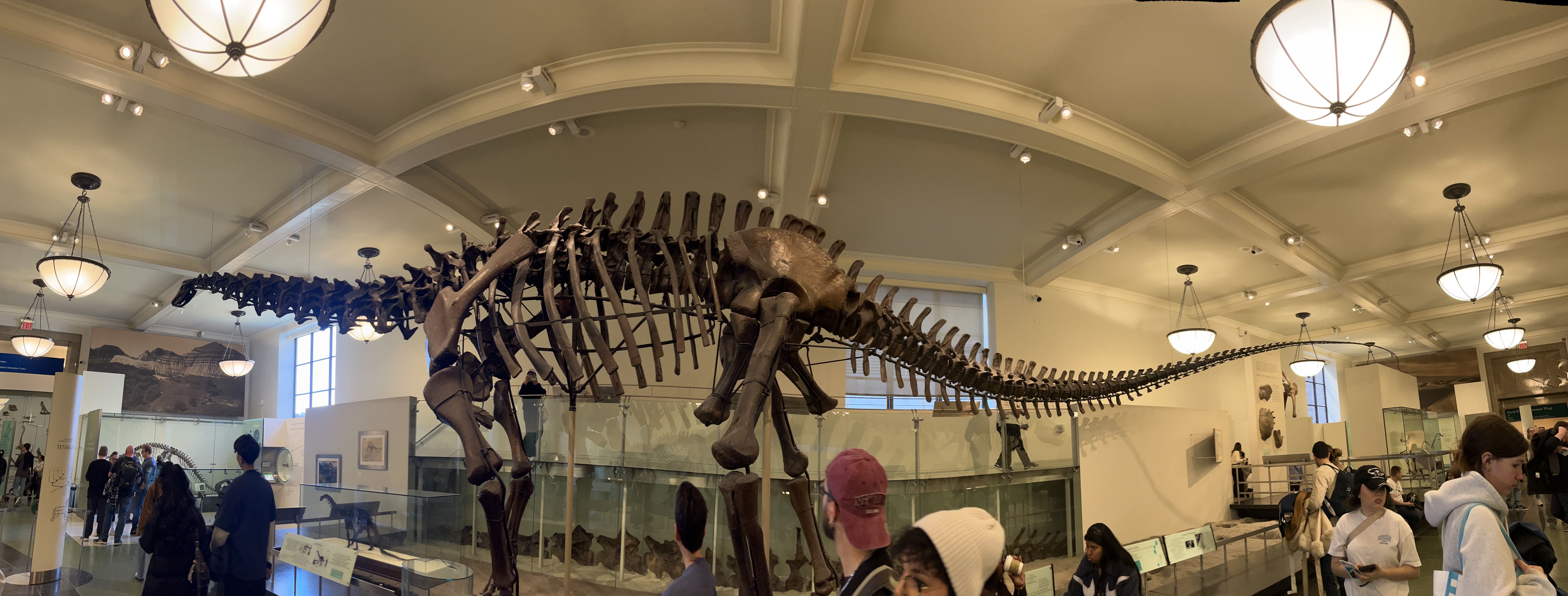 IS THE AMERICAN MUSEUM OF NATURAL HISTORY OPEN ON MEMORIAL DAY visual data 8