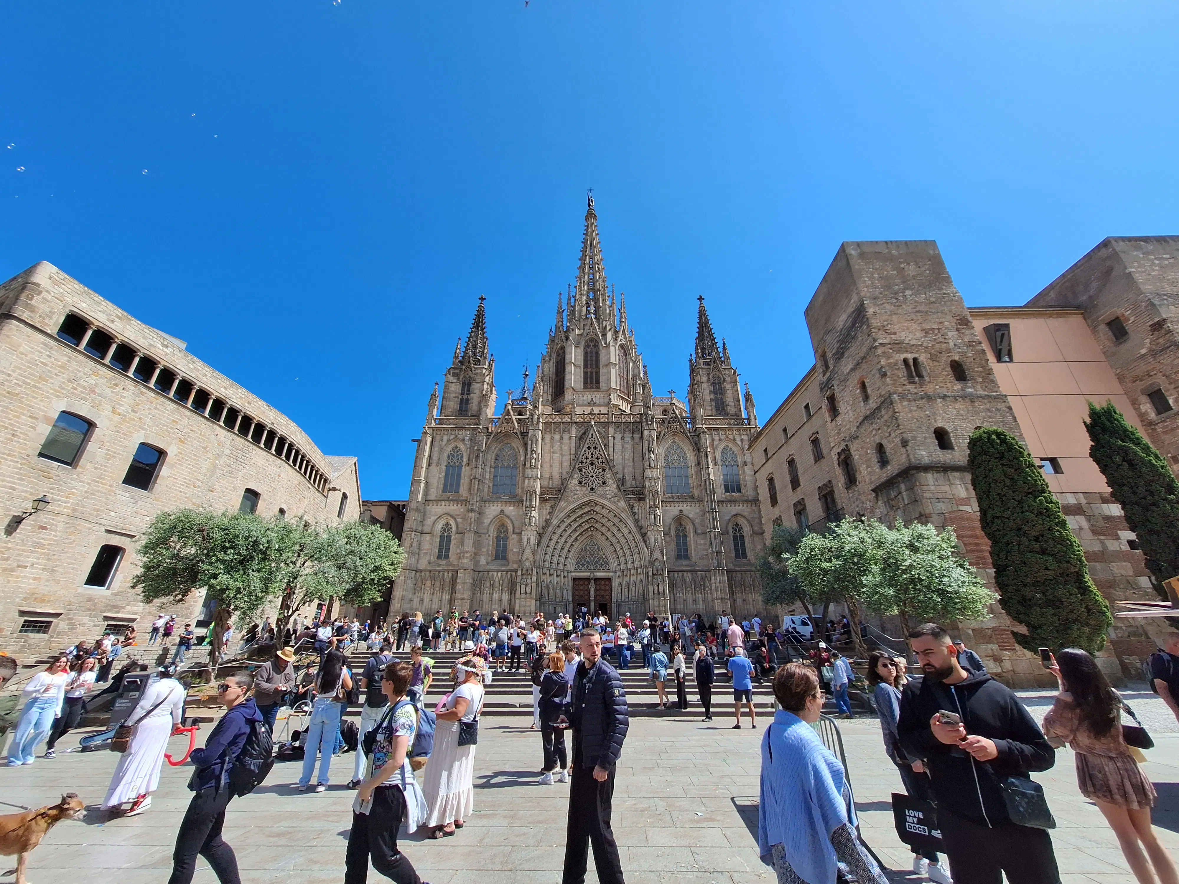 Entradas Catedral de Barcelona | Acceso a la azotea y al coro